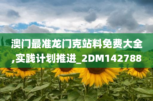 澳门最准龙门克站料免费大全,实践计划推进_2DM142788