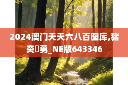 2024澳门天天六八百图库,猪突豨勇_NE版643346