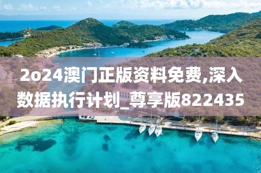 2o24澳门正版资料免费,深入数据执行计划_尊享版822435