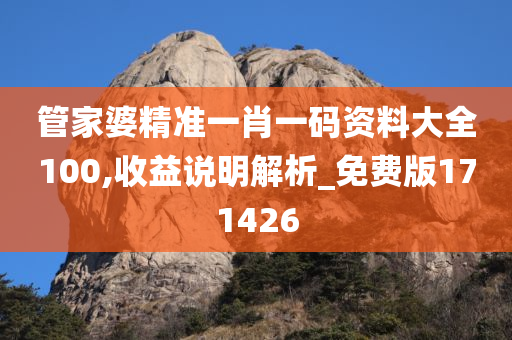 管家婆精准一肖一码资料大全100,收益说明解析_免费版171426