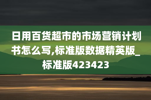 日用百货超市的市场营销计划书怎么写,标准版数据精英版_标准版423423