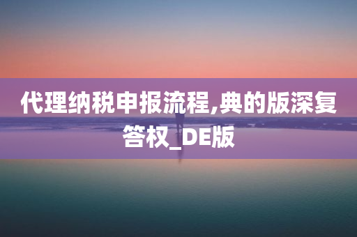 代理纳税申报流程,典的版深复答权_DE版