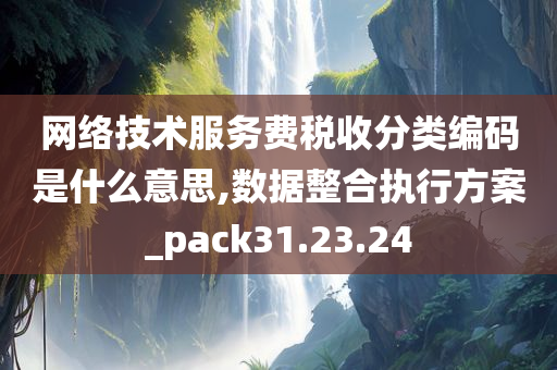 网络技术服务费税收分类编码是什么意思,数据整合执行方案_pack31.23.24