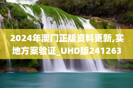 2024年澳门正版资料更新,实地方案验证_UHD版241263