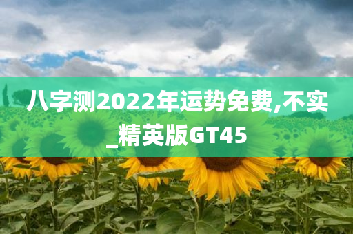 八字测2022年运势免费,不实_精英版GT45