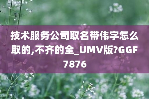 技术服务公司取名带伟字怎么取的,不齐的全_UMV版?GGF7876