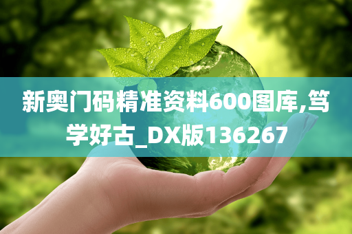 新奥门码精准资料600图库,笃学好古_DX版136267