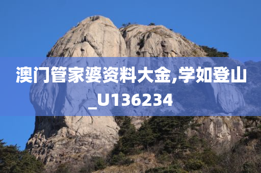 澳门管家婆资料大金,学如登山_U136234