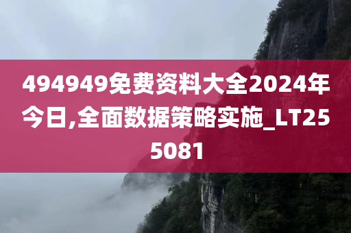 494949免费资料大全2024年今日,全面数据策略实施_LT255081