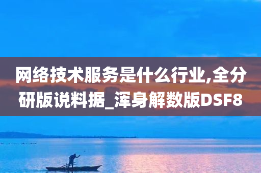 网络技术服务是什么行业,全分研版说料据_浑身解数版DSF8