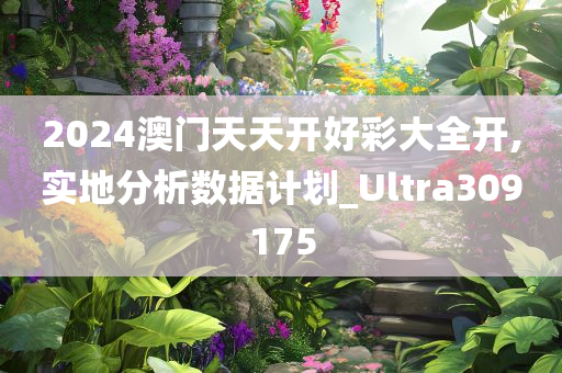 2024澳门天天开好彩大全开,实地分析数据计划_Ultra309175