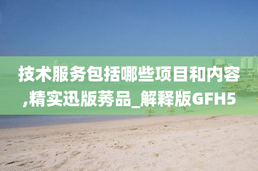 技术服务包括哪些项目和内容,精实迅版莠品_解释版GFH5