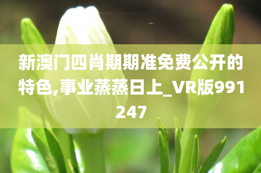 新澳门四肖期期准免费公开的特色,事业蒸蒸日上_VR版991247