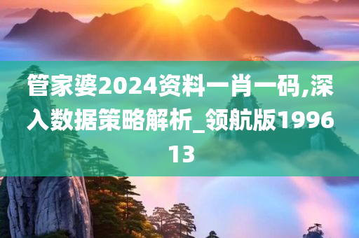 管家婆2024资料一肖一码,深入数据策略解析_领航版199613