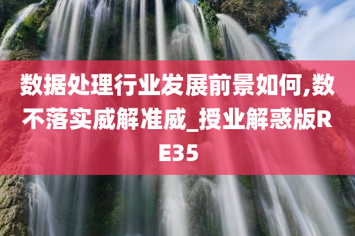 数据处理行业发展前景如何,数不落实威解准威_授业解惑版RE35