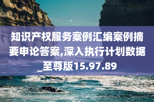 知识产权服务案例汇编案例摘要申论答案,深入执行计划数据_至尊版15.97.89