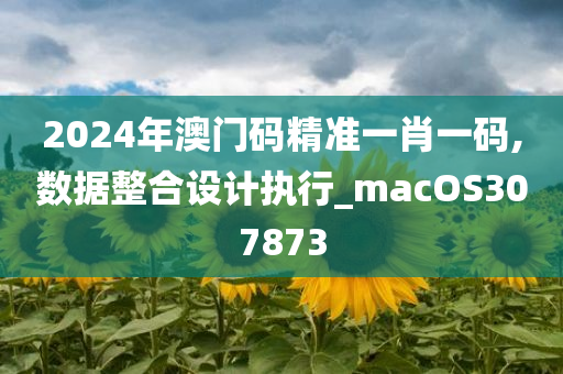 2024年澳门码精准一肖一码,数据整合设计执行_macOS307873