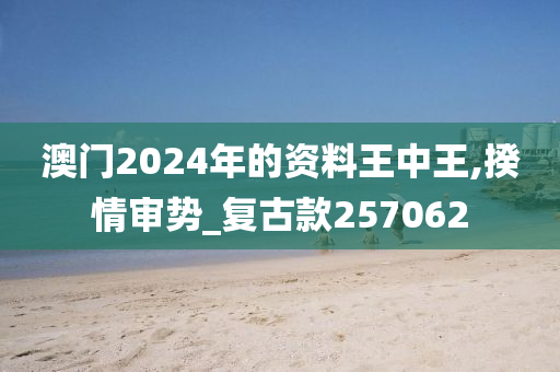 澳门2024年的资料王中王,揆情审势_复古款257062