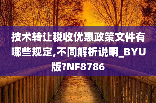 技术转让税收优惠政策文件有哪些规定,不同解析说明_BYU版?NF8786