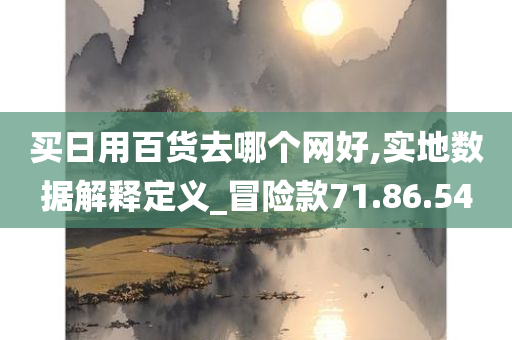 买日用百货去哪个网好,实地数据解释定义_冒险款71.86.54