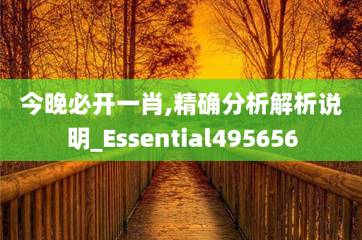 今晚必开一肖,精确分析解析说明_Essential495656