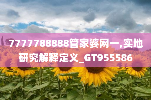 7777788888管家婆网一,实地研究解释定义_GT955586