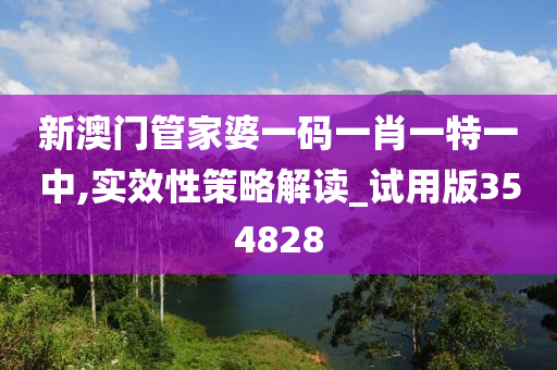 新澳门管家婆一码一肖一特一中,实效性策略解读_试用版354828