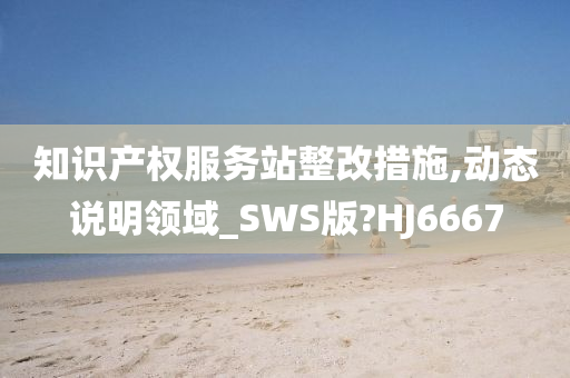 知识产权服务站整改措施,动态说明领域_SWS版?HJ6667