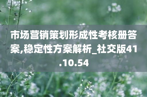 市场营销策划形成性考核册答案,稳定性方案解析_社交版41.10.54