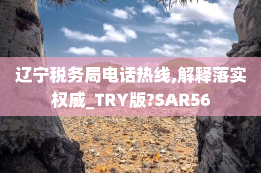 辽宁税务局电话热线,解释落实权威_TRY版?SAR56