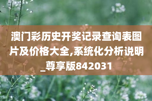 澳门彩历史开奖记录查询表图片及价格大全,系统化分析说明_尊享版842031