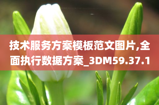 技术服务方案模板范文图片,全面执行数据方案_3DM59.37.10