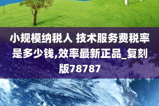 小规模纳税人 技术服务费税率是多少钱,效率最新正品_复刻版78787