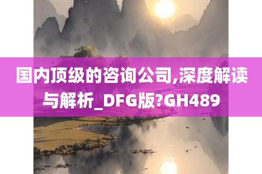 国内顶级的咨询公司,深度解读与解析_DFG版?GH489