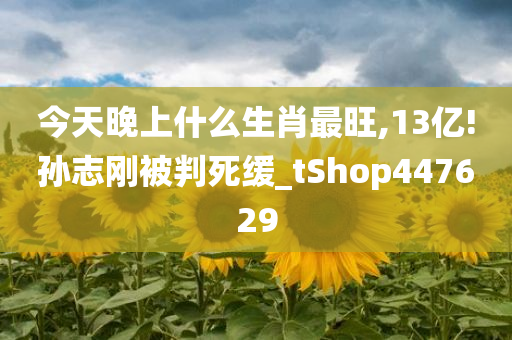 今天晚上什么生肖最旺,13亿!孙志刚被判死缓_tShop447629