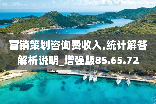 营销策划咨询费收入,统计解答解析说明_增强版85.65.72