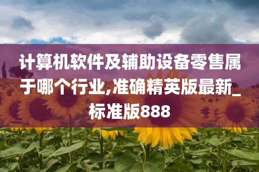 计算机软件及辅助设备零售属于哪个行业,准确精英版最新_标准版888