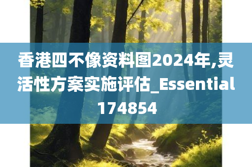 香港四不像资料图2024年,灵活性方案实施评估_Essential174854