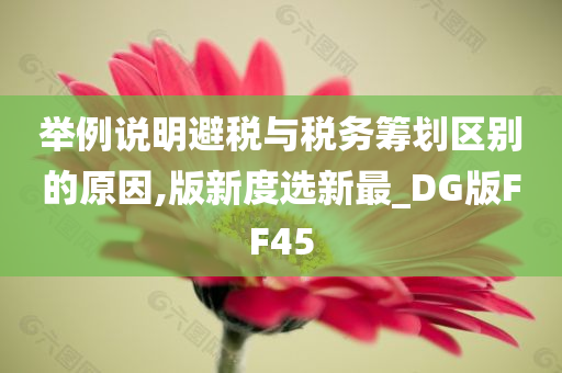 举例说明避税与税务筹划区别的原因,版新度选新最_DG版FF45