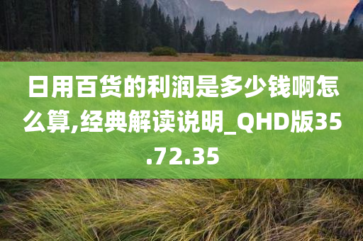 日用百货的利润是多少钱啊怎么算,经典解读说明_QHD版35.72.35