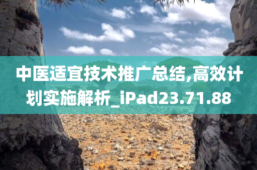 中医适宜技术推广总结,高效计划实施解析_iPad23.71.88