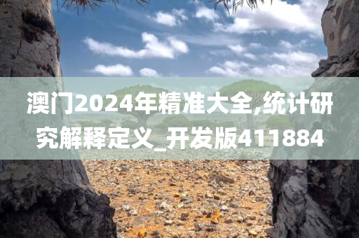 澳门2024年精准大全,统计研究解释定义_开发版411884