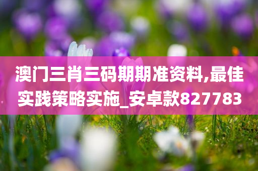 澳门三肖三码期期准资料,最佳实践策略实施_安卓款827783