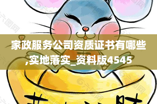 家政服务公司资质证书有哪些,实地落实_资料版4545