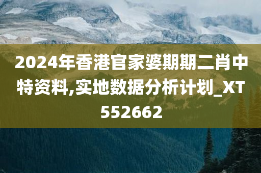 2024年香港官家婆期期二肖中特资料,实地数据分析计划_XT552662