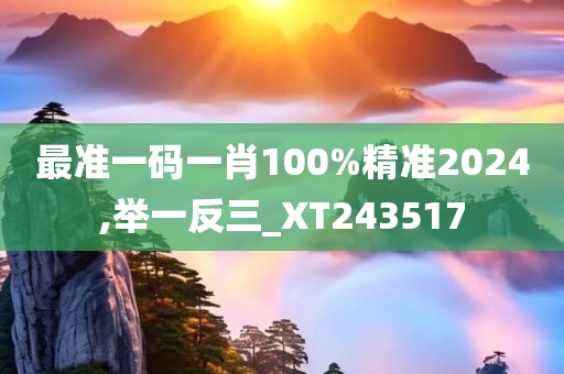 最准一码一肖100%精准2024,举一反三_XT243517