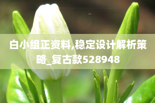 白小组正资料,稳定设计解析策略_复古款528948