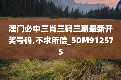 澳门必中三肖三码三期最新开奖号码,不求所偿_5DM912575