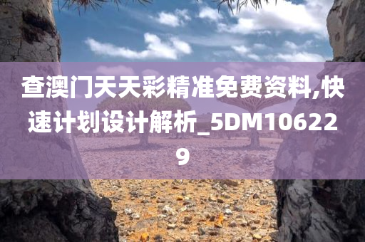 查澳门天天彩精准免费资料,快速计划设计解析_5DM106229