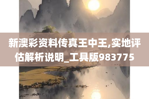 新澳彩资料传真王中王,实地评估解析说明_工具版983775